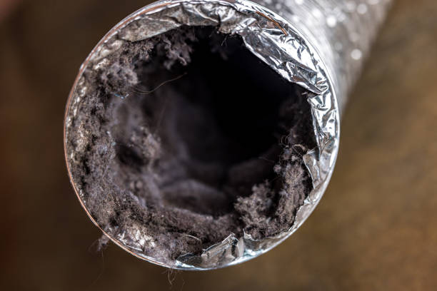 Best Affordable Air Duct Cleaning  in Wheeler, TX